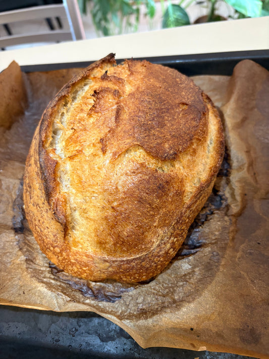Mi Primer Pan de Masa Madre