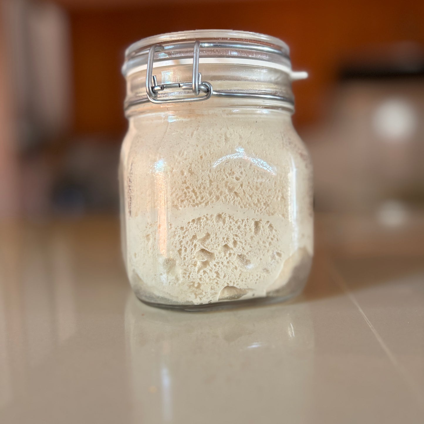 Masa Madre Activa, 500g