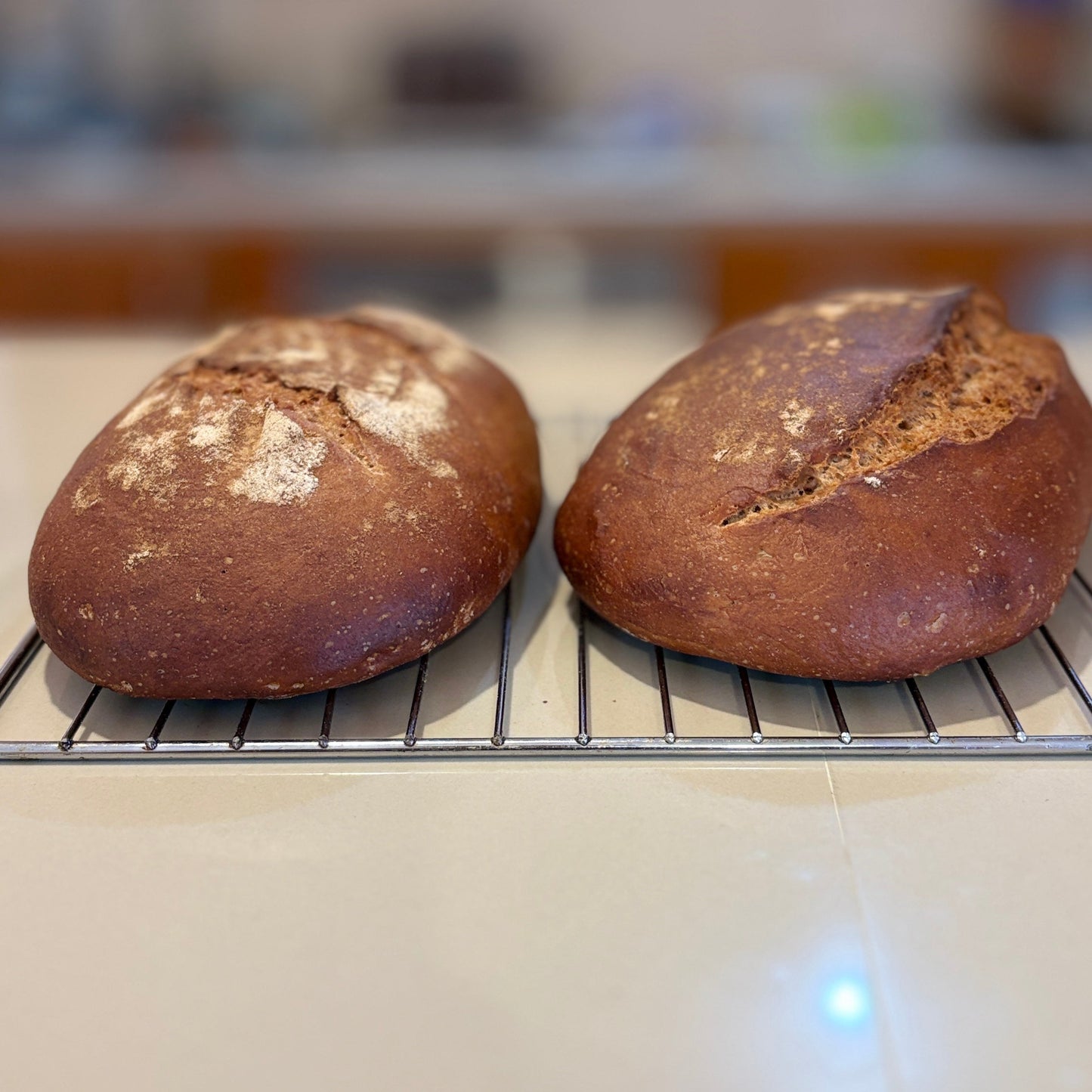 Pan Francés de Masa Madre de Espelta 100% Integral Calidad Premium.
