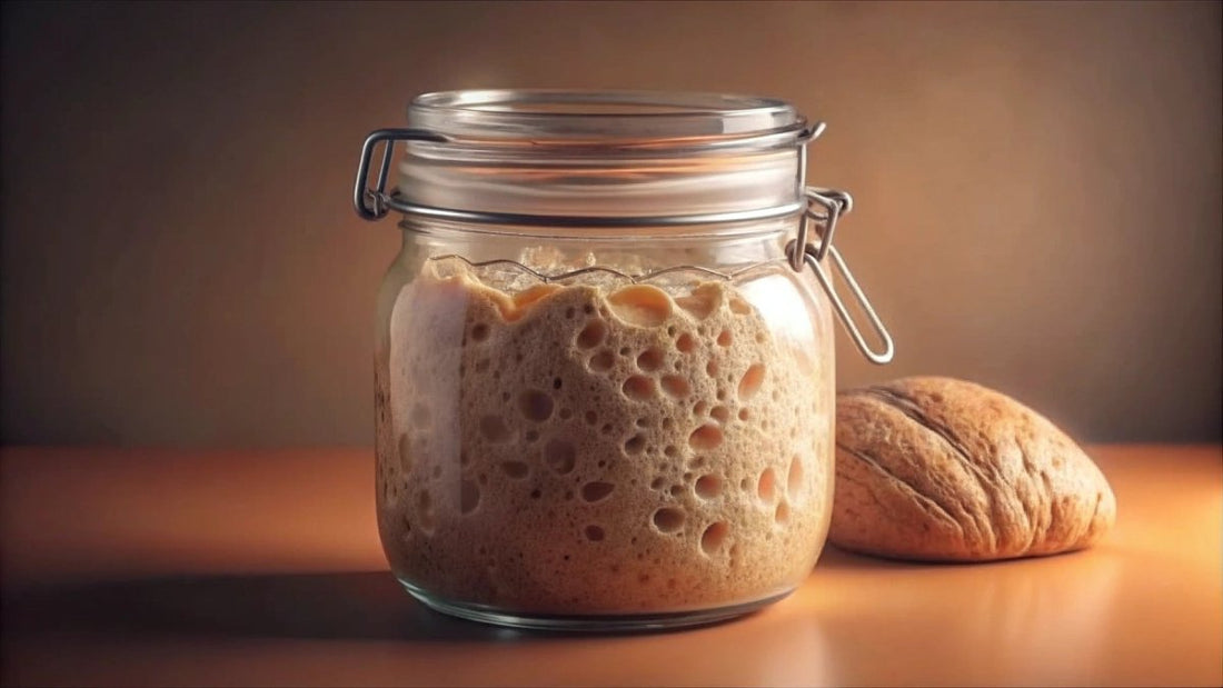 Cómo hacer Masa Madre de Espelta - Masa Madre Monterrey, Panadería en Línea.