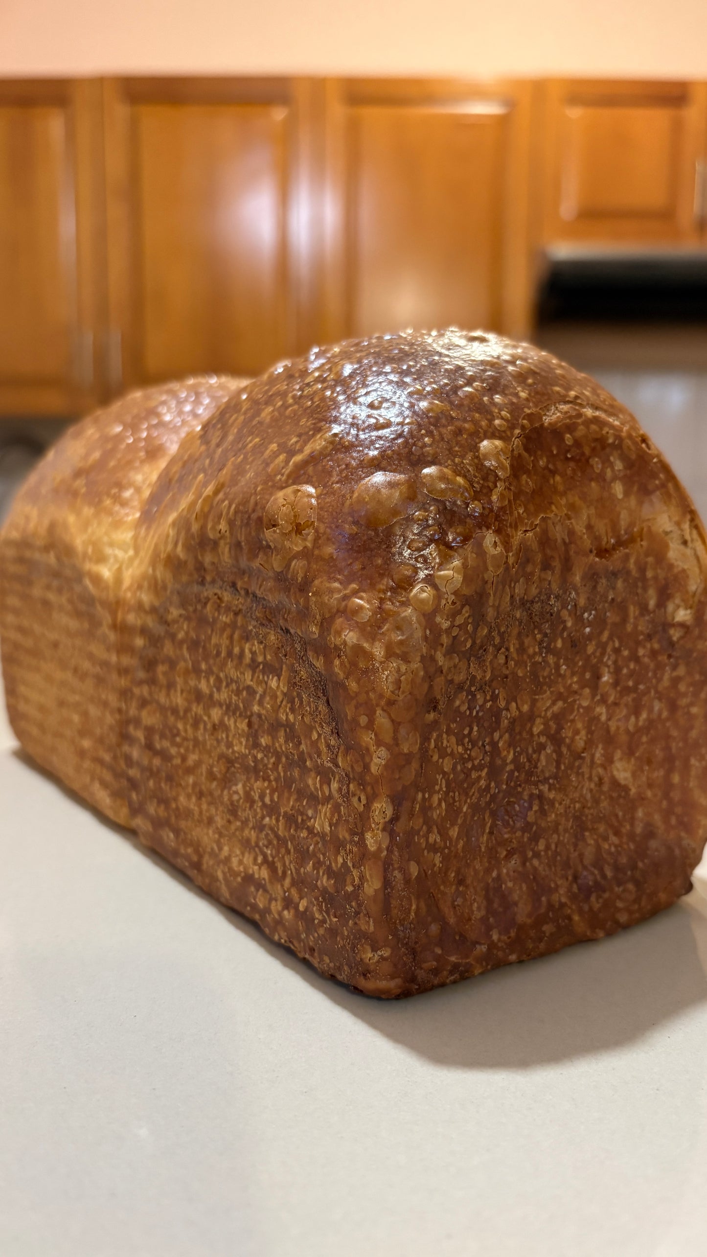 Pan Brioche en Barra
