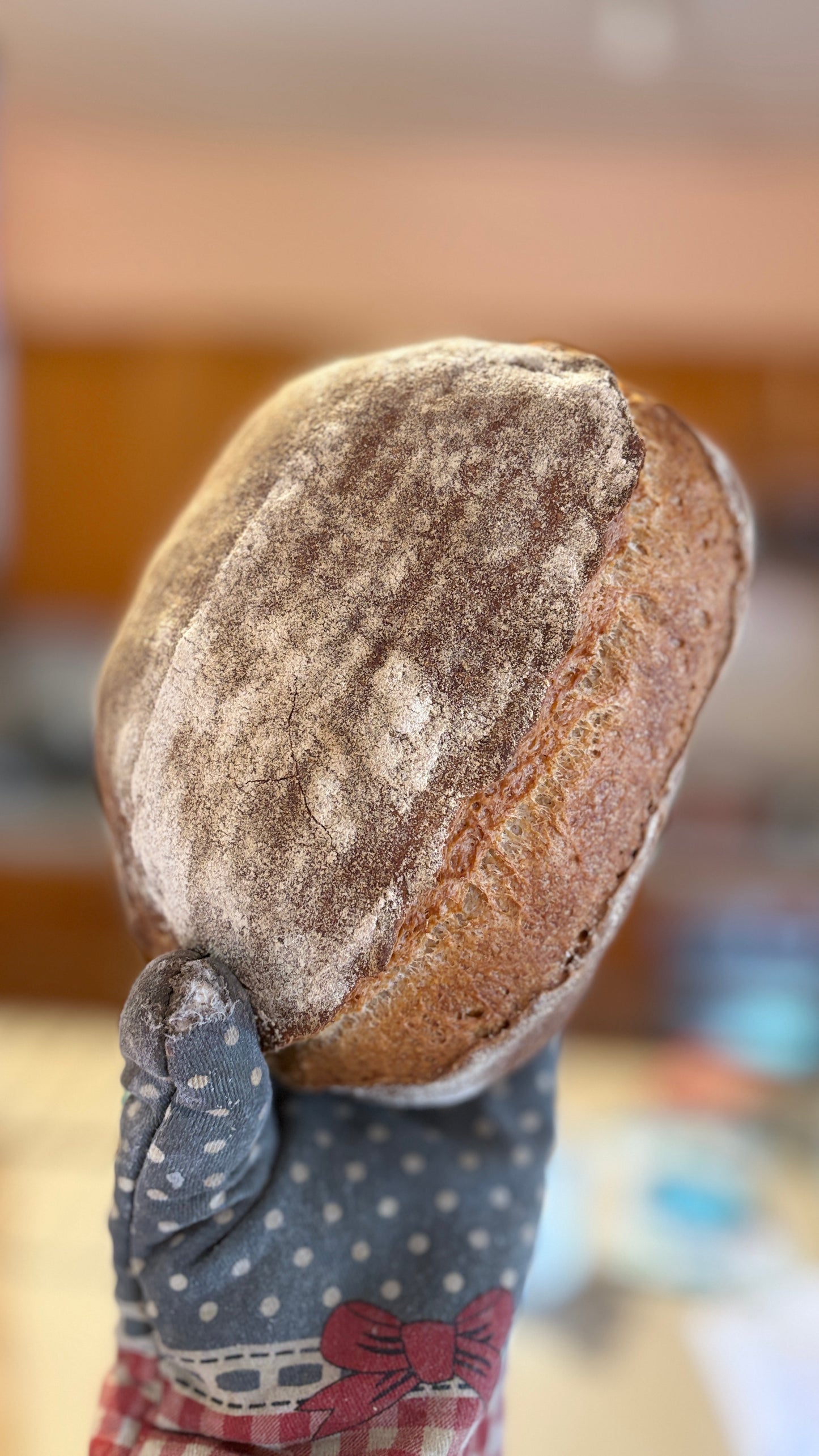 Pan Francés de Masa Madre de Centeno 100% Integral Calidad Premium