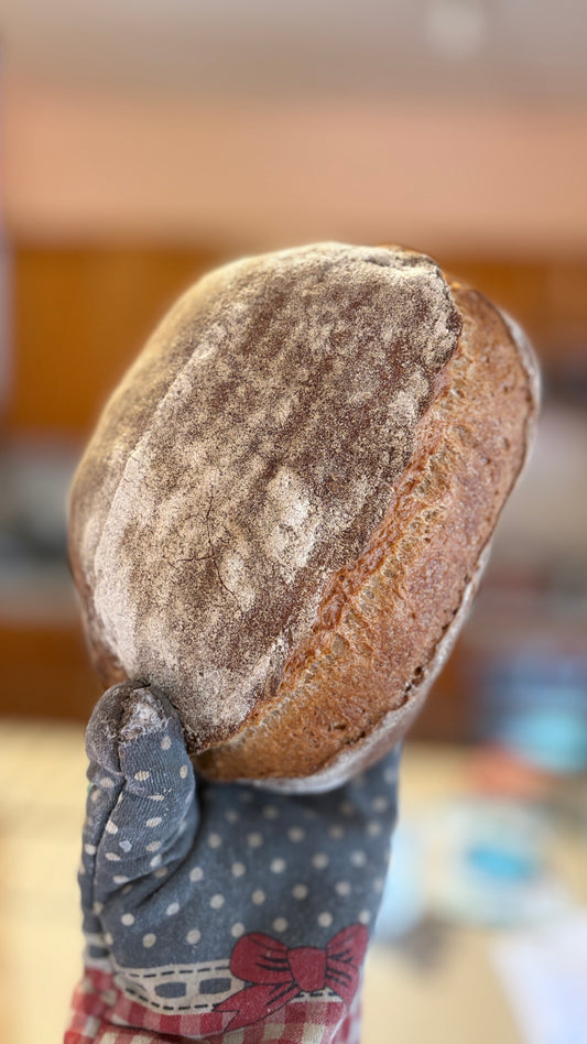 Pan Francés de Masa Madre de Centeno 100% Integral Calidad Premium
