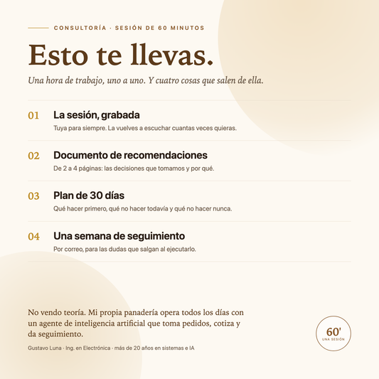 Qué incluye la consultoría: sesión grabada, documento de recomendaciones, plan de 30 días y una semana de seguimiento