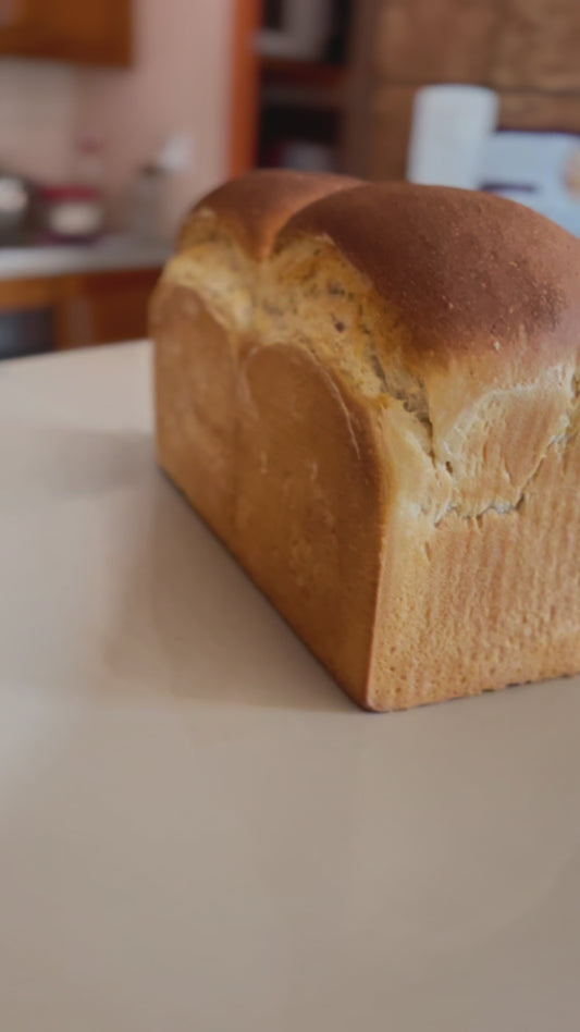 "Katzoomi Bread" o "Sourdough Shokupan"- Masa Madre Monterrey, Panadería en Línea. 